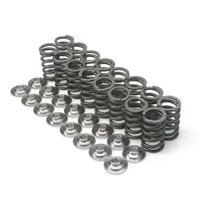 Brian Crower Honda/Acura K20a2/K20a/K24a2/F20c1/F22c1 Dual Valve Springs 1