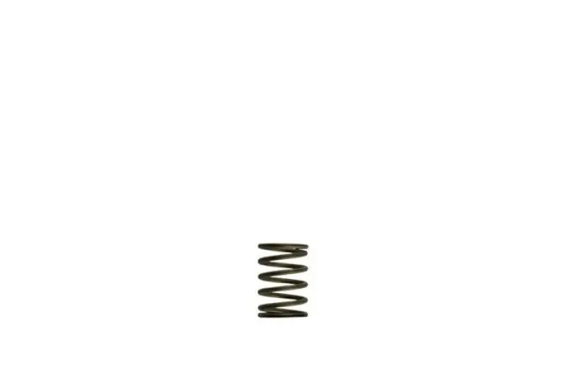 Turbosmart Gen-V Wg38/40 3Psi Black Inner Spring 1