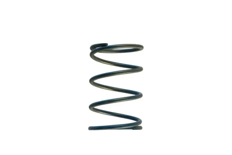 Turbosmart Gen-V Wg45/50 14Psi Blue Outer Spring 1
