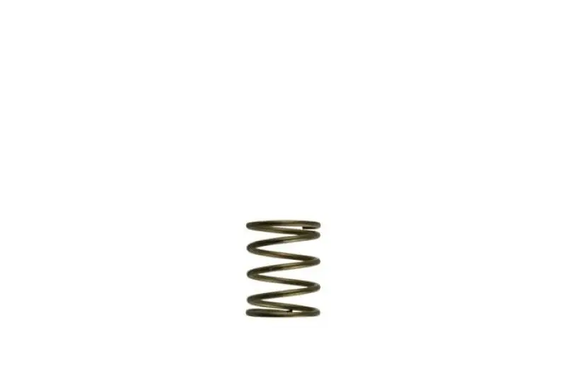 Turbosmart Gen-V Wg45/50 3Psi Orange Inner Spring 1