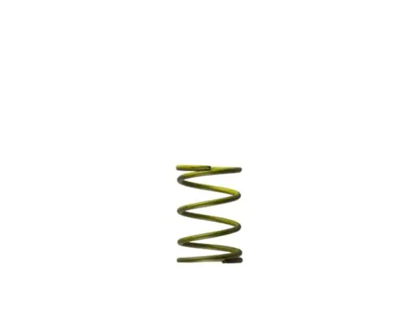 Turbosmart Wg 45/50 Gen-V 5 Psi Inner Spring Yellow (Ts-0550-3086) 1