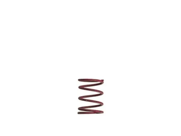 Turbosmart Wg38/40 7Psi Pink Middle Spring (Ts-0550-3083) 1