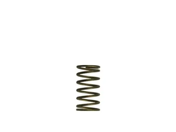 Turbosmart Wg60 Gen-V 3Psi Inner Spring (Ts-0550-3089) 1